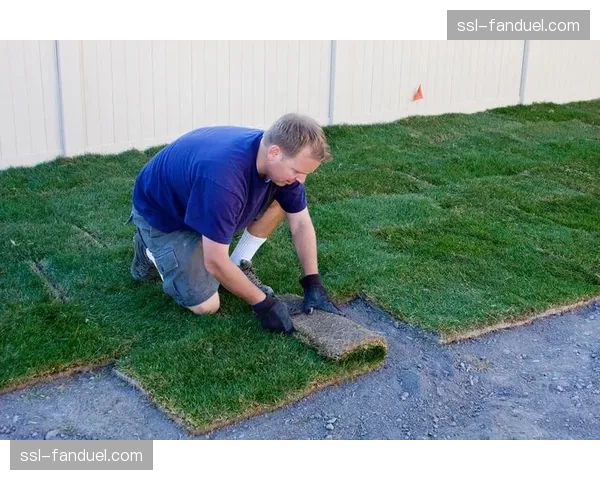 温布利球场开始为欧冠决赛铺设新草皮，采用混合草技术