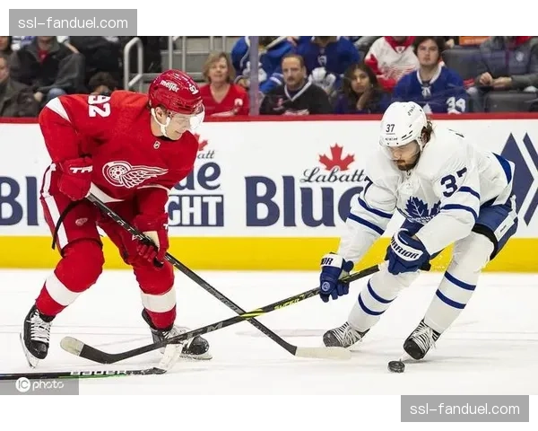 长文：底特律红翼队年轻后卫莫里茨·赛德尔的崛起赛季